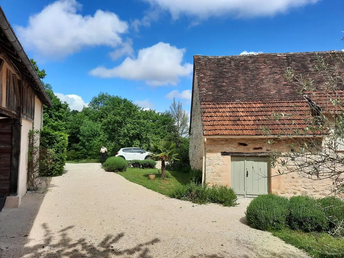 Gite Du Petit Olivier - 2 A 4 Pers -1 Chb Saint-Cirq-Souillaguet フランス