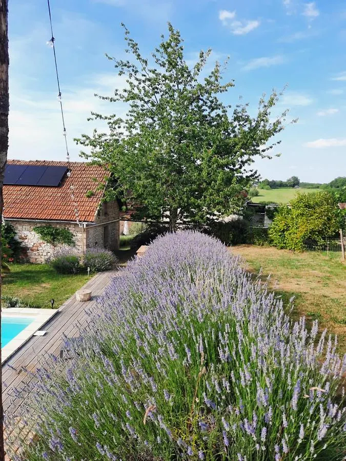 Gite Du Petit Olivier - 2 A 4 Pers -1 Chb Saint-Cirq-Souillaguet 別荘