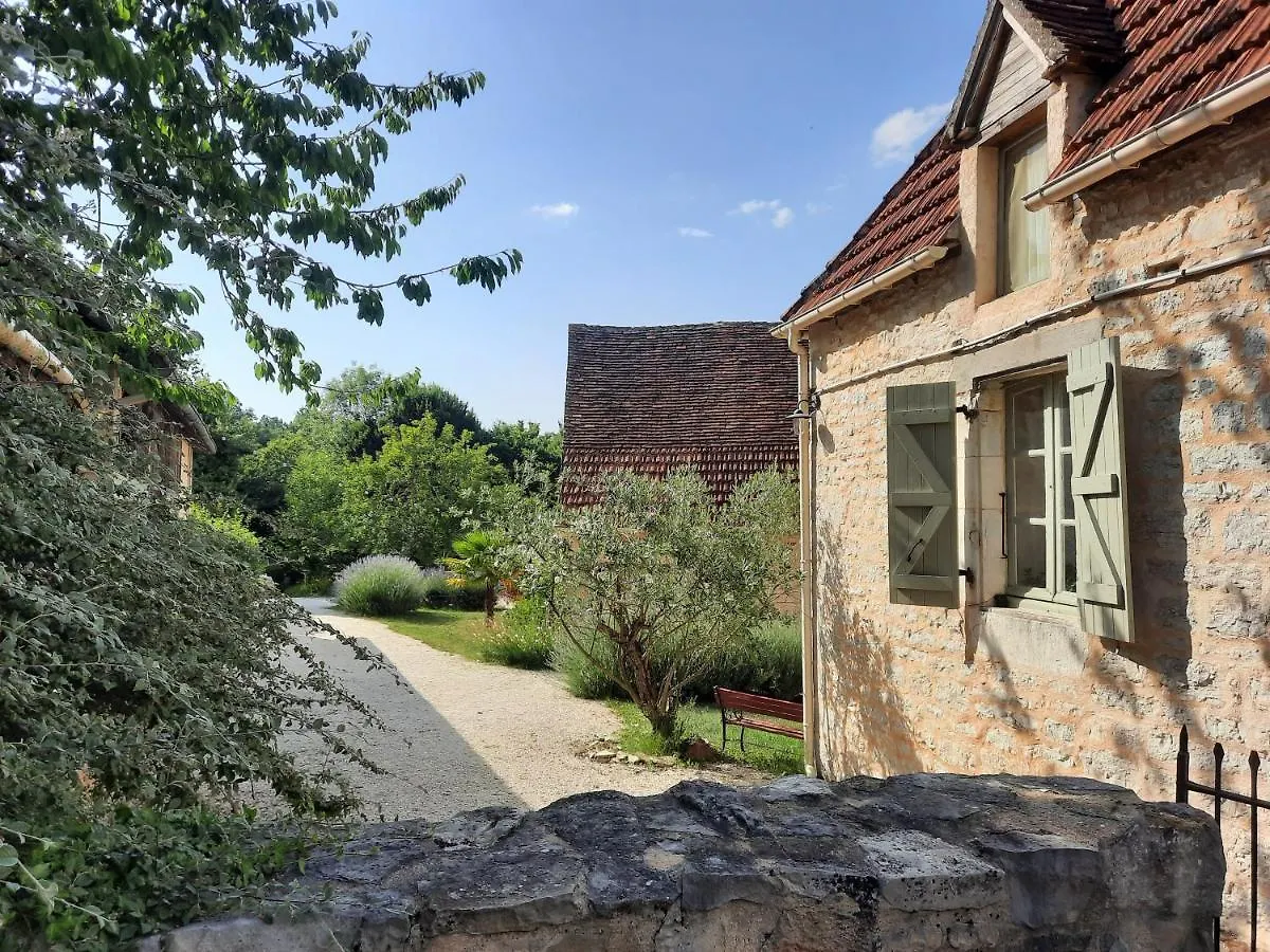 Gite Du Petit Olivier - 2 A 4 Pers -1 Chb Saint-Cirq-Souillaguet