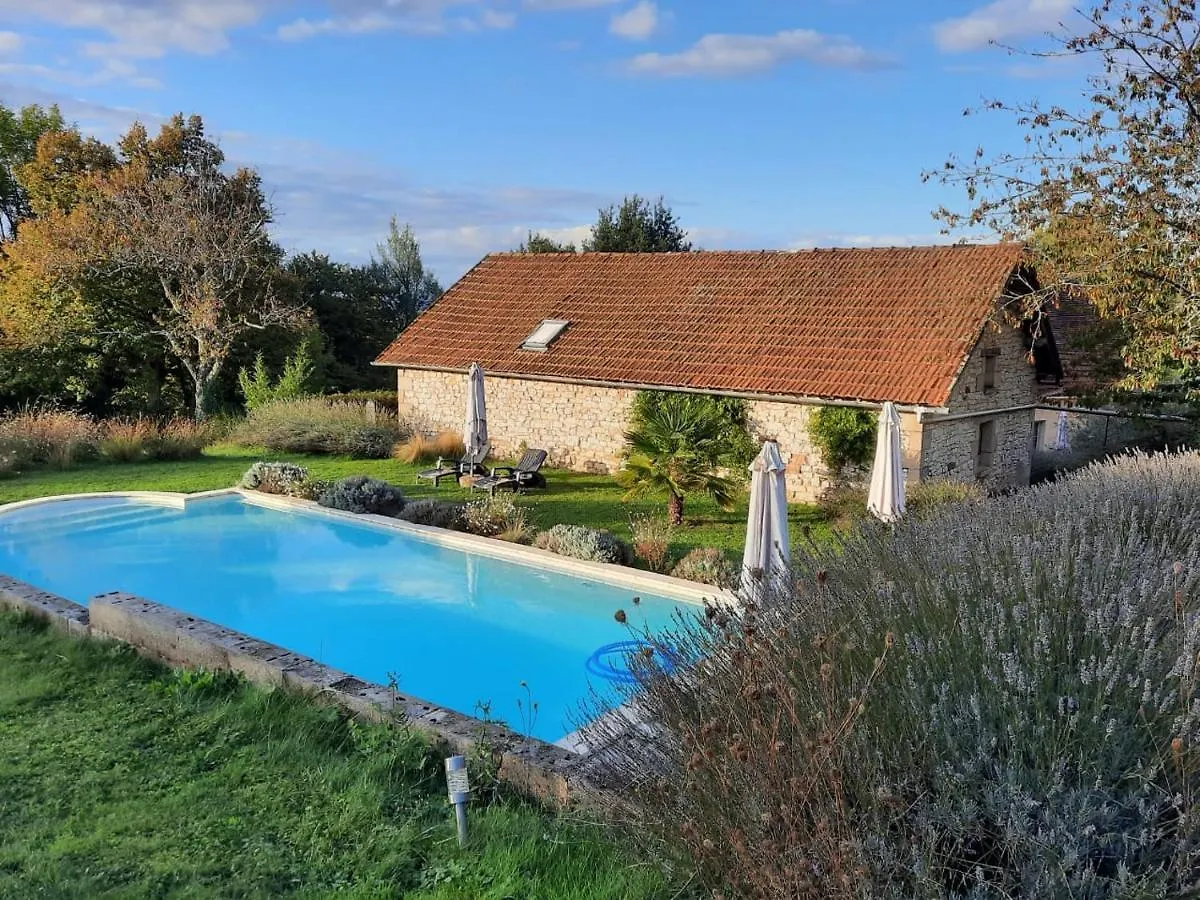 Gite Du Petit Olivier - 2 A 4 Pers -1 Chb Saint-Cirq-Souillaguet 別荘