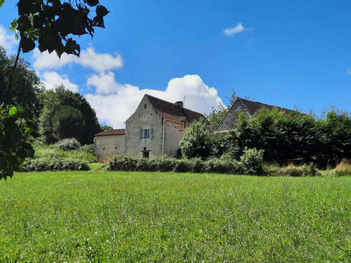 別荘 Gite Du Petit Olivier - 2 A 4 Pers -1 Chb Saint-Cirq-Souillaguet